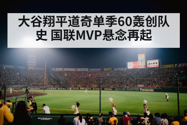 baseball stadium night game