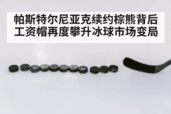 hockey stick and puck closeup